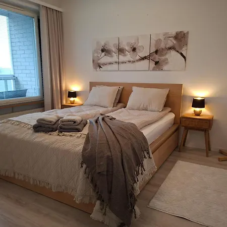 Arctic River View Center 公寓 罗瓦涅米