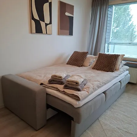 公寓 Arctic River View Center 罗瓦涅米