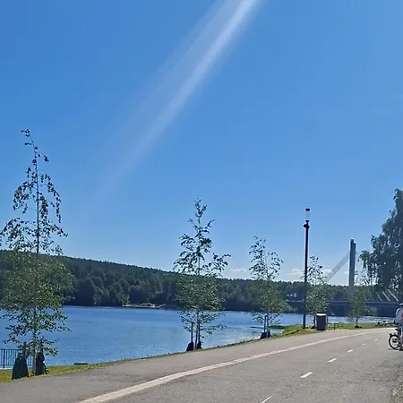 Arctic River View Center 公寓 罗瓦涅米